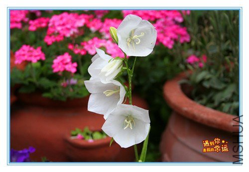 ��Ƭ 112_����.jpg