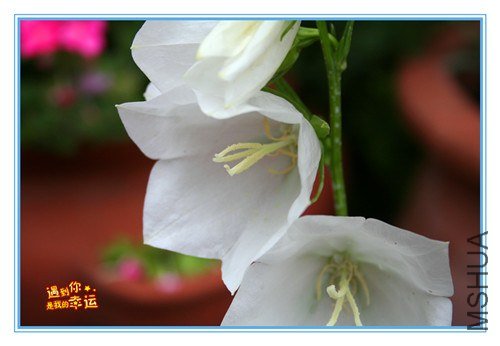 ��Ƭ 115_����.jpg