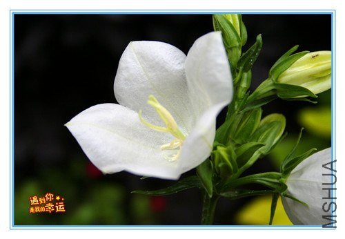 ��Ƭ 116_����.jpg