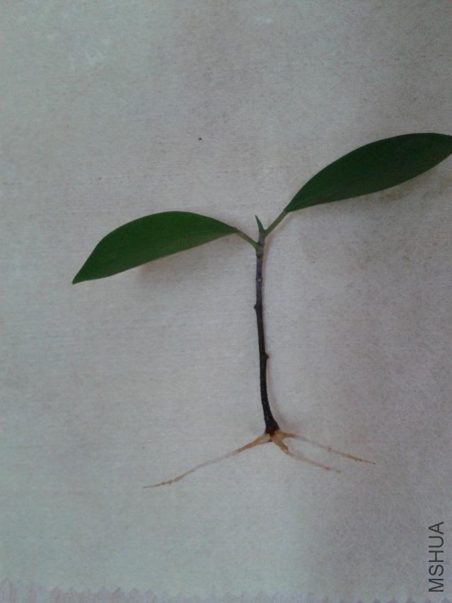 2013-06-17 15.04.26.jpg