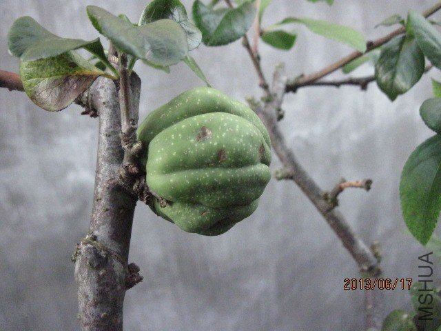 IMG_5474.jpg