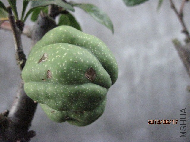 IMG_5475.jpg