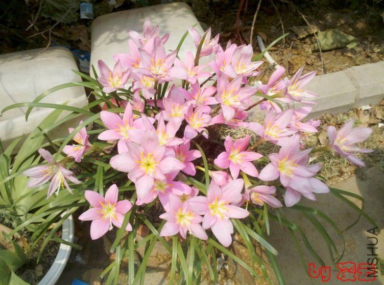2013-06-15_13-48-49_410.jpg