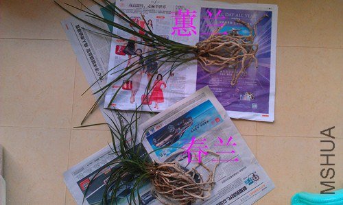 IMAG0568_����.jpg