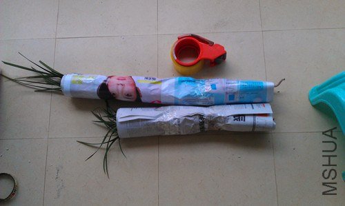 IMAG0569_����.jpg