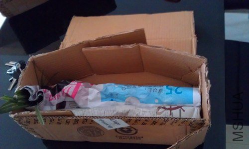 IMAG0571_����.jpg