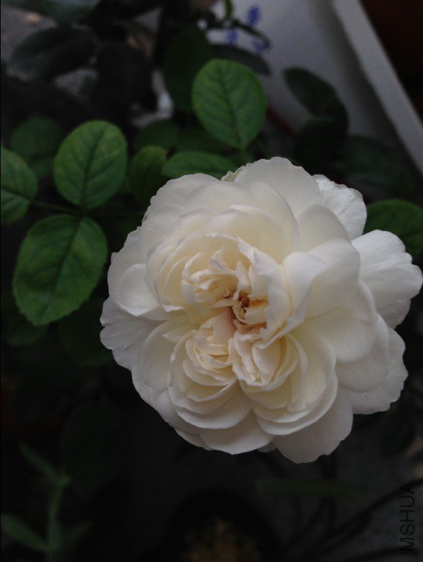 BELXG~237S0_[2M[`ML2))X.jpg