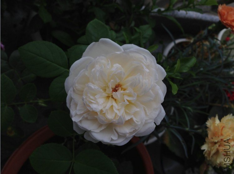 K4%CM)~L2I[]L83}}]73F.jpg