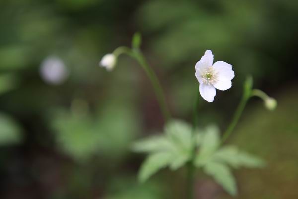 ������ (3).JPG