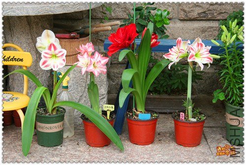 ��Ƭ 001_����.jpg