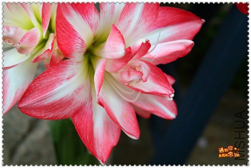 ��Ƭ 002a_����.jpg