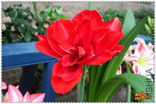 ��Ƭ 003_����.jpg