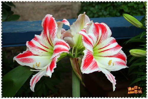 ��Ƭ 005_����.jpg