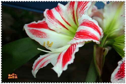 ��Ƭ 006_����.jpg