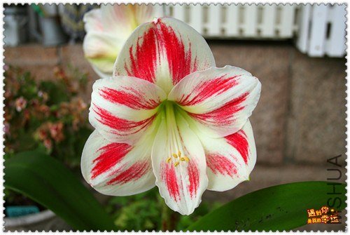 ��Ƭ 008_����.jpg