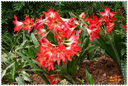 ��Ƭ 076_����.jpg