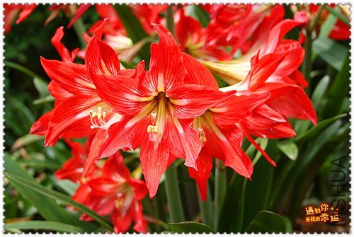 ��Ƭ 079_����.jpg