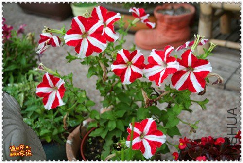 ��Ƭ 058_����.jpg