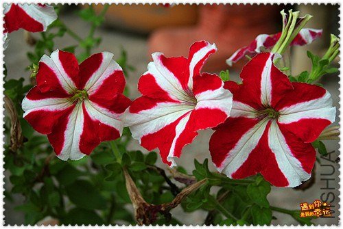 ��Ƭ 059_����.jpg