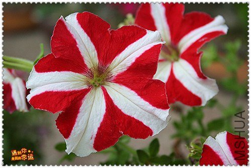 ��Ƭ 060_����.jpg