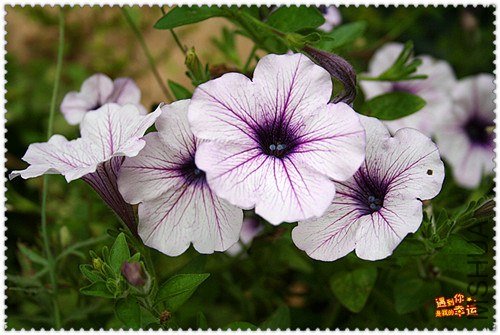 ��Ƭ 061_����.jpg