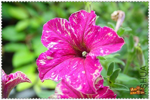 ��Ƭ 056_����.jpg