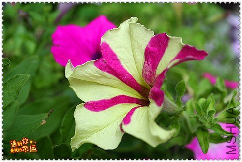 ��Ƭ 051_����.jpg