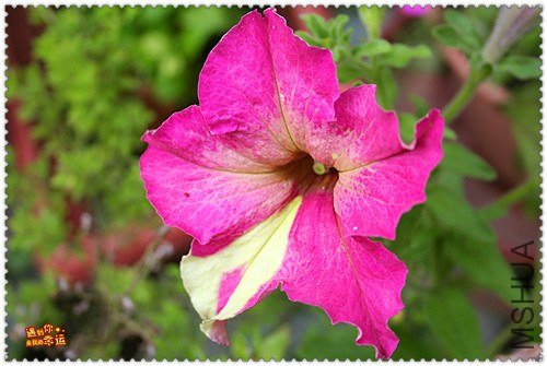 ��Ƭ 052_����.jpg