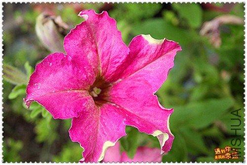 ��Ƭ 053_����.jpg