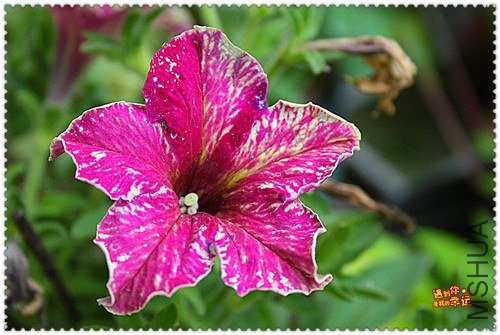 ��Ƭ 055_����.jpg