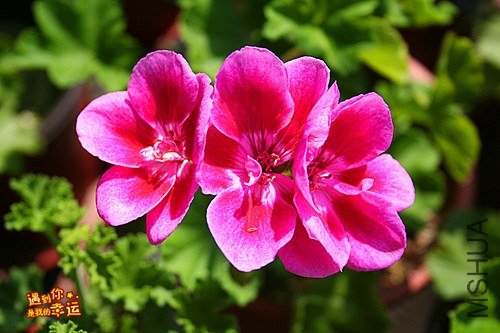 ��Ƭ 053_����.jpg