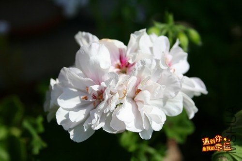 ��Ƭ 059_����.jpg