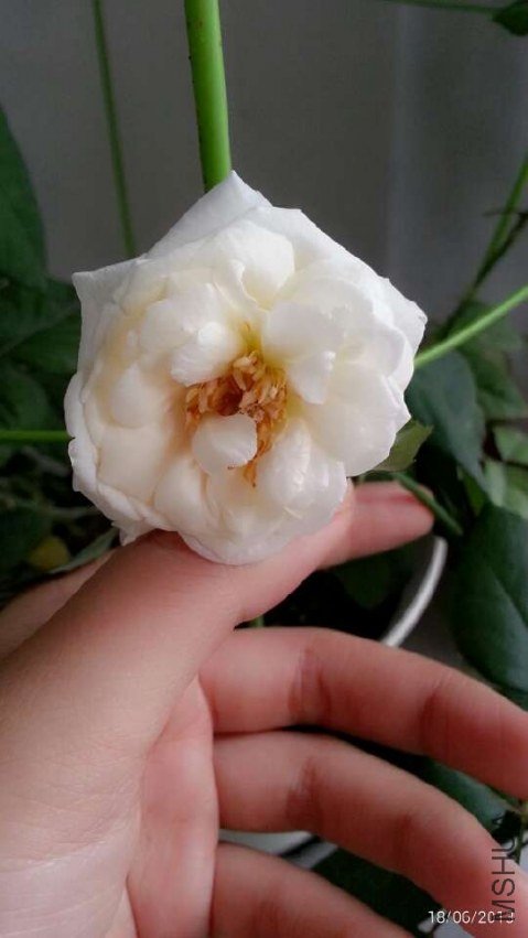 QQͼƬ20130619102001.jpg