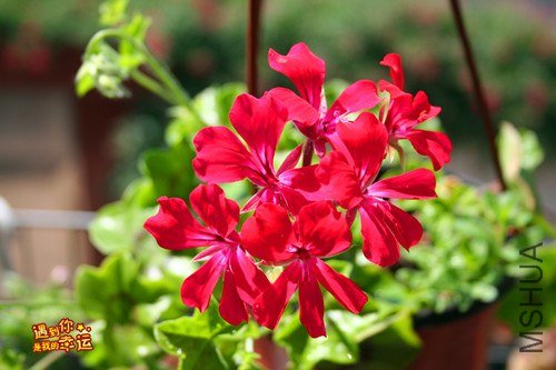 ��Ƭ 075_����.jpg