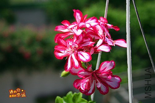 ��Ƭ 078_����.jpg