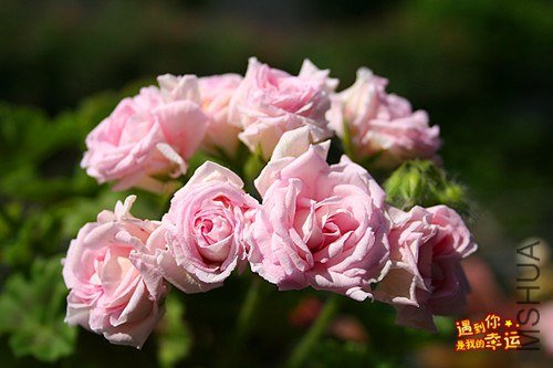 ��Ƭ 040_����.jpg