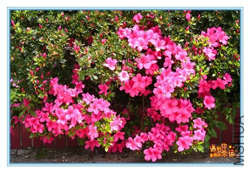 ��Ƭ 167_����.jpg