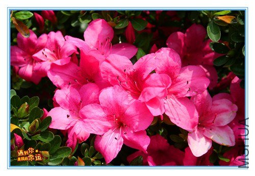 ��Ƭ 168_����.jpg