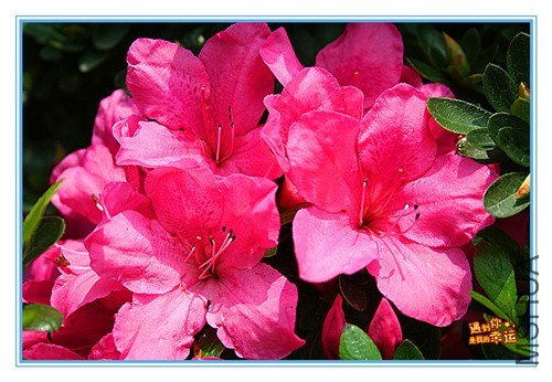 ��Ƭ 173_����.jpg