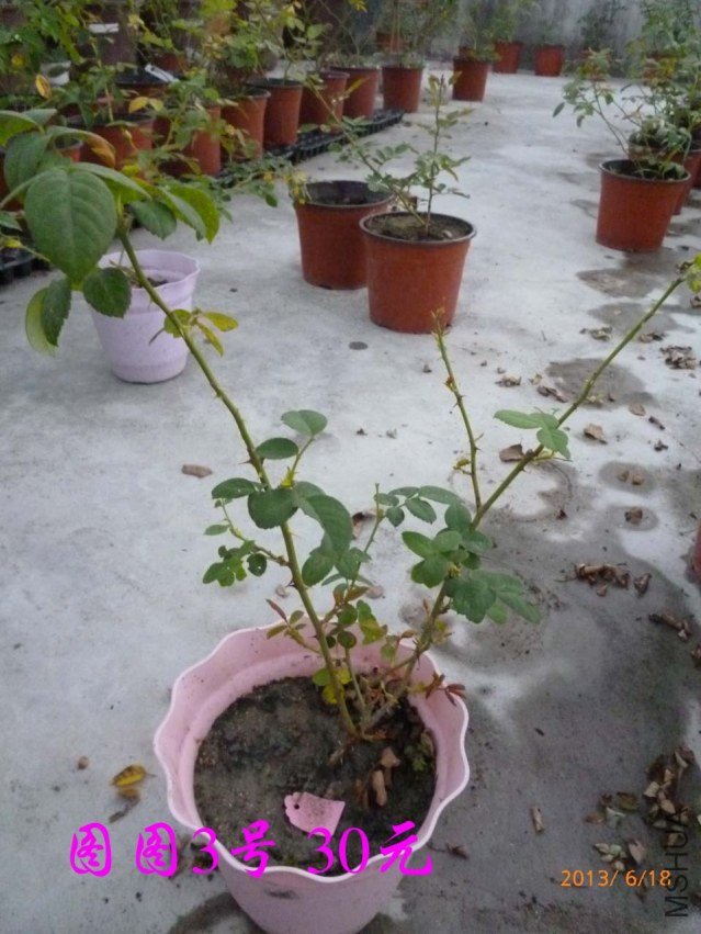 P1080200.jpg