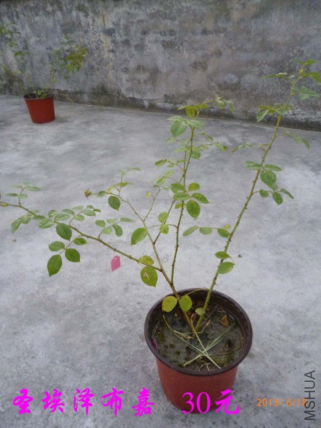 P1080193.jpg