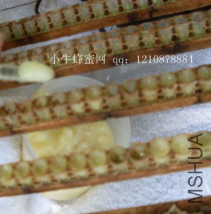 SDC10023_����_����.jpg