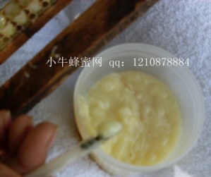 SDC10024_����.jpg