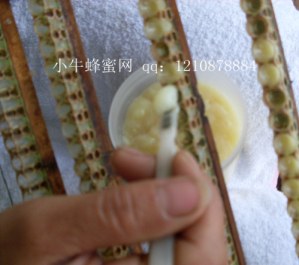 SDC10048_����.jpg