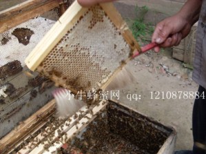 SDC10065_����.jpg