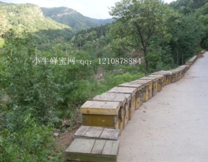 SDC10071_����.jpg