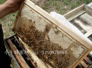 SDC10104_����.jpg