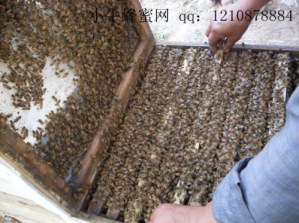 SDC1420016_����.jpg