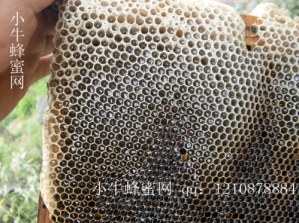 SDC1440019_����.jpg