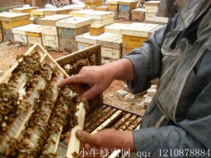 SDC1530008_����.jpg